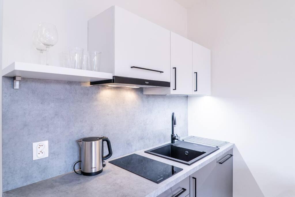 Brno Center View Apartement B - With Self Check-In Dış mekan fotoğraf